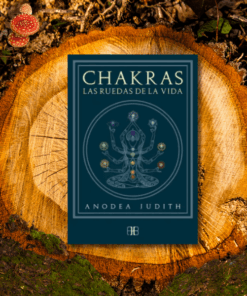 Chakras las Ruedas de la Vida
