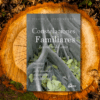 Constelaciones Familiares Raíces del Amor