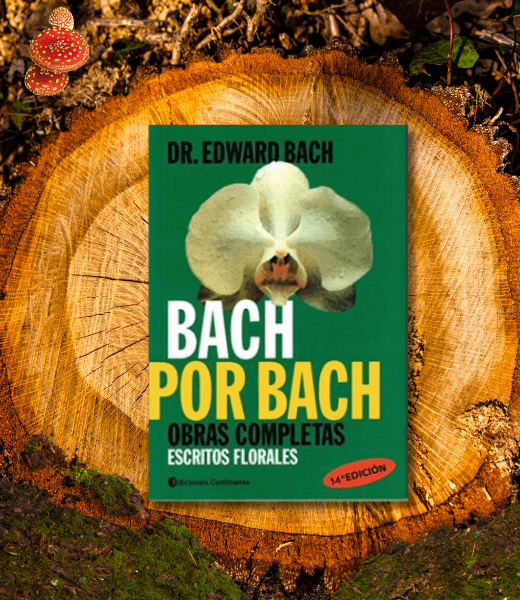 Bach por Bach Obras Completas