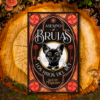 Asesino de Brujas 2: Los Hijos del Rey