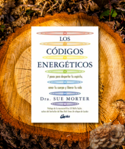 Los Códigos Energéticos
